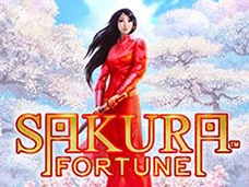 sakura fortune